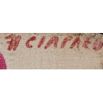 Czesław Pius Ciapało (ur. 1942, Hajnówka), Opus Ł - 71 Nr 1 czyli: Wenus z cyklu Formy nieprawdopodobne i nieprawdopodobnie podobne, 1971