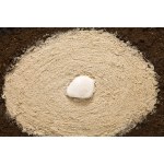 Agnieszka Niziurska (b. 1955, Warsaw), White Stone, 2002