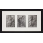 Izabela Chamczyk (b. 1980, Częstochowa), Three experimental photographs from the series PUSH&amp;PULL, 2024