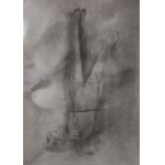 Izabela Chamczyk (b. 1980, Częstochowa), Three experimental photographs from the series PUSH&amp;PULL, 2024