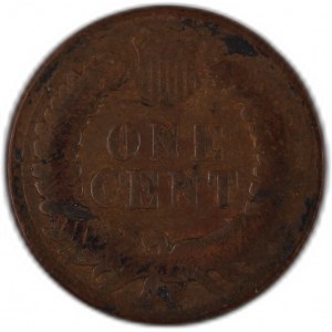 United States 1 Cent 1895 Mint Error
