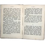 Tadeusz Dębicki - Od brzegu do brzegu - Warszawa 1928