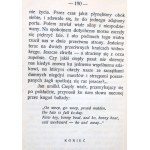 Tadeusz Dębicki - Od brzegu do brzegu - Warszawa 1928