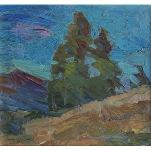 Oleksa Novakivsky, Storm [Village de Kosmach en Ukraine].