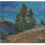 Oleksa Nowakiwski, Burza [Wieś Kosmacz na Ukrainie]