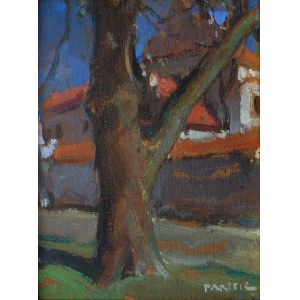 Jozef Panfil, Motive from Smardzewice