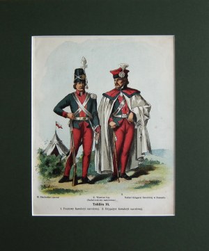 Michał Stachowicz(1768-1825),Wojsko Polskie Kościuszki,1894