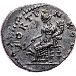 Septimius Severus, Denarius 193-211