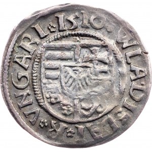 Vladislav II. Jagellonsky, Denar 1510, K-G