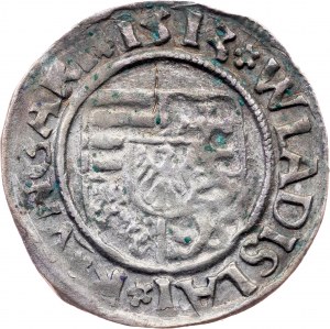 Vladislav II. Jagellonsky, Denar 1513, K-G