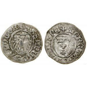 Polen, Shelby, Danzig