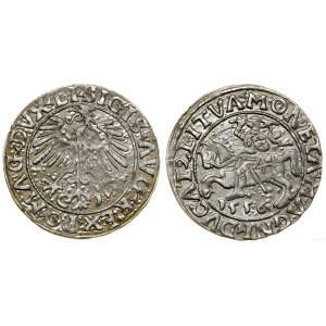 Polsko, půlpenny, 1556, Vilnius