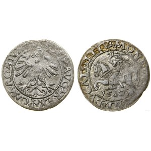 Poland, half-penny, 1560, Vilnius