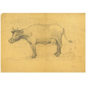 Artiste méconnu, Vache ;