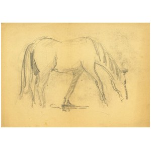 Artist unrecognized, Horse;