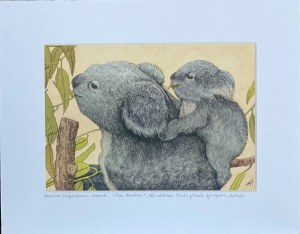 Kamila Wojciechowicz-Krauze, Two Koalas