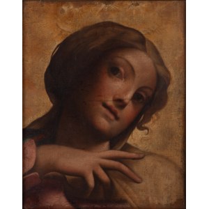 Antonio Allegri (Correggio), podle (1489 Correggio - 1534 Correggio), Hlava Madony.