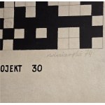 Ryszard Winiarski (1936-2006), Projekt 30 + Projekt 31, 1974