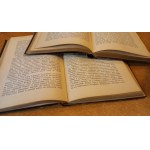 Dzieje literatury polskiej w zarysie vol. I+II Bruckner opr. Wójcik 1908 /m.