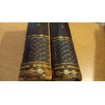 Dzieje literatury polskiej w zarysie vol. I+II Bruckner opr. Wójcik 1908 /m.