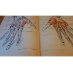 Kunstleranatomie Friedrich Meyner 1956 /m.
