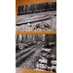 Kazimierz Kawulak set of 6 photographs of the Wolski Forest circa 1991.