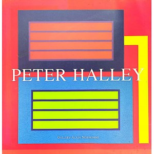 Peter Halley, 2009