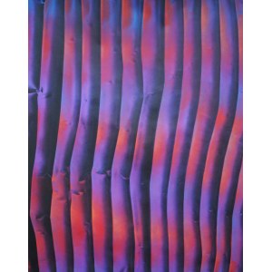 Paweł BIENKIEWICZ (ur. 1962), Magentirius Vibratio, z cyklu: E=mc2, 2024