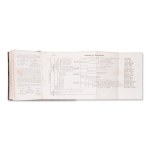 DOCHNAHL, Friedrich Jakob (1820-1904): Fuhrer in der Obstkunde I.