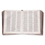 [DE SANCTO CARO, Hugo] (1190-1263): Sacrorum Bibliorum