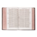 HOUDRY, Vincent (1631-1729): Bibliotheca concionatoria theologica I.+II.