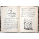 Milne A.A., CHATKA PUCHATKA [przekł. Irena Tuwim]