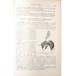 Kirkor S., Diseases of Bees