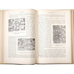 Kirkor S., Diseases of Bees