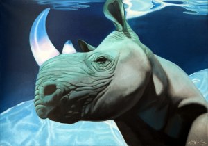 Kamila Stępniak, Rhino