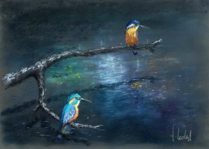 Motyl Tomasz