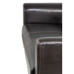 Leather Sofa