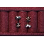 Crimson earrings with rubies