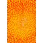 Hanna Rozpara (b. 1990, Sosnowiec), Solar asteracea , 2024