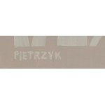 Karolina Pietrzyk (ur. 1987, Radom), Stop thinking, 2024