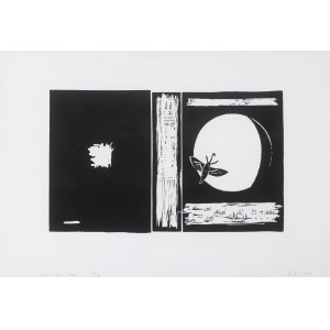 Wilhelm Sasnal (ur. 1972), Unexisting book, 2009