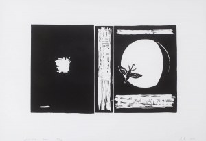 Wilhelm Sasnal (ur. 1972), Unexisting book, 2009