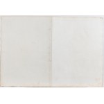 Gomar Wouters, Piazza Navona antico circo agonale dell'imperatore Severo Alessandro edificata su le riune di esso...