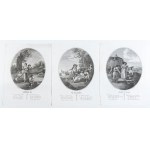 William Hamilton, Twelve months