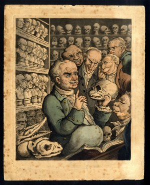 Thomas Rowlandson, (the German doctor) Franz Joseph Gall discusses with colleagues, inside an anatomical room