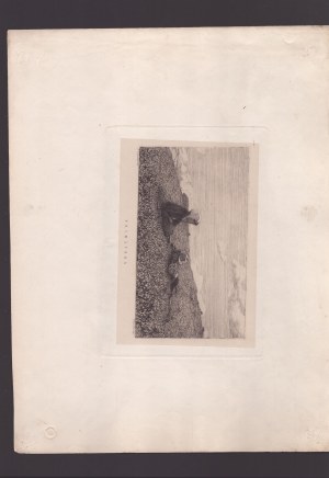 Telemaco Signorini, Spring