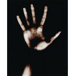 PHOTOGRAPHIES DES JOURS DE COMPÉTITION, Pologne, vers 1990