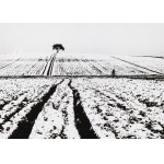 PHOTOGRAPHIES DES JOURS DE COMPÉTITION, Pologne, vers 1990
