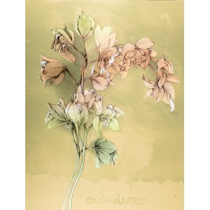 Bruno Bruni (ur. 1936 r. Gradara) Orchidea