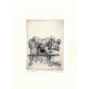 Piotr KENC (geb. 1973), Camera obscura 1, 2006